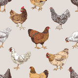 Chickens 🐓 Bamboo rts